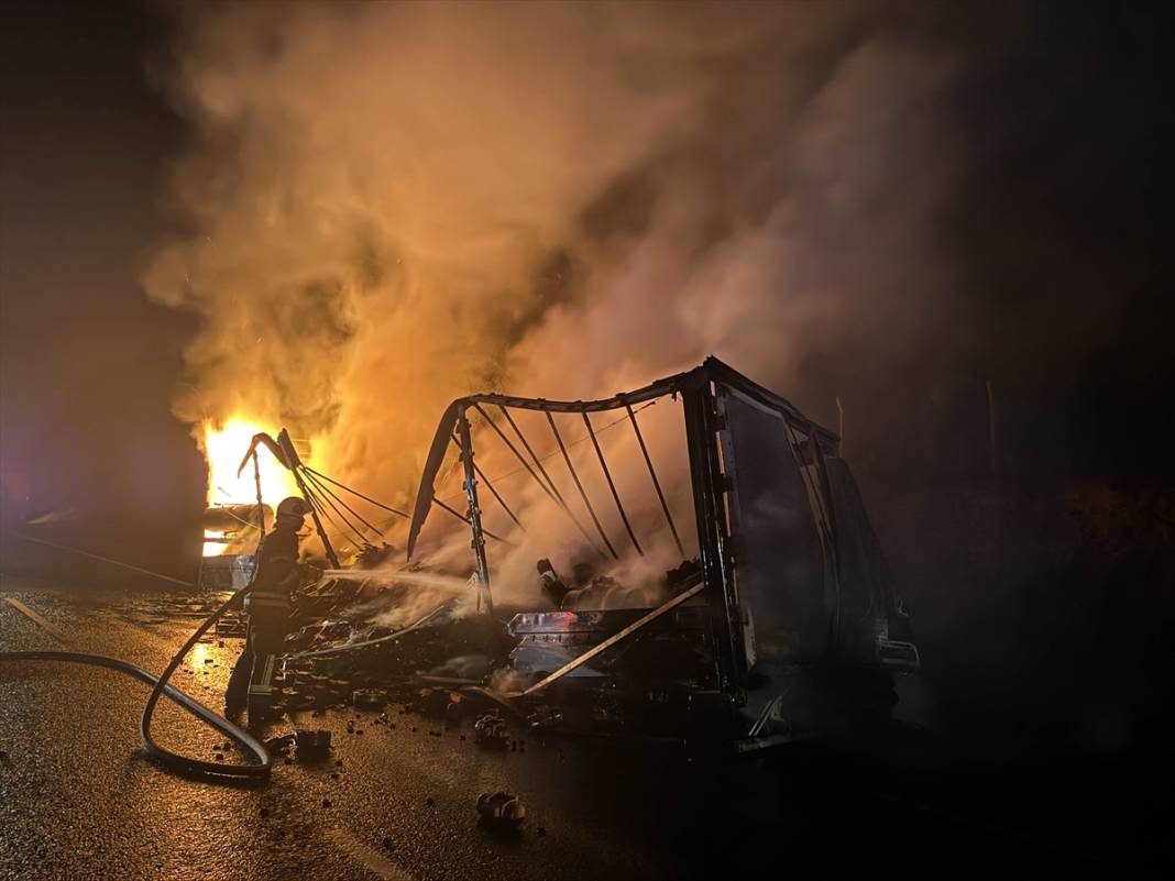 TIR yandı, alevler ağaçlara sıçradı 5